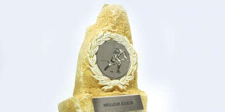 Metallex™ - Engraving material - Gravograph
